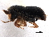  ( - CCDB-30438-B04)  @11 [ ] CreativeCommons - Attribution (2018) CBG Photography Group Smithsonian Institution