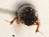  ( - CCDB-30438-B11)  @11 [ ] CreativeCommons - Attribution (2018) CBG Photography Group Smithsonian Institution