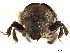 ( - CCDB-30438-E02)  @11 [ ] CreativeCommons - Attribution (2018) CBG Photography Group Smithsonian Institution