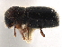  ( - CCDB-30438-E09)  @11 [ ] CreativeCommons - Attribution (2018) CBG Photography Group Smithsonian Institution