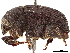  ( - CCDB-30438-F10)  @11 [ ] CreativeCommons - Attribution (2018) CBG Photography Group Smithsonian Institution