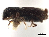  ( - CCDB-30438-H05)  @11 [ ] CreativeCommons - Attribution (2018) CBG Photography Group Smithsonian Institution