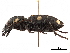  ( - CCDB-30439-A02)  @11 [ ] CreativeCommons - Attribution (2018) CBG Photography Group Smithsonian Institution