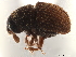  ( - CCDB-30440-A02)  @11 [ ] CreativeCommons - Attribution (2018) CBG Photography Group Smithsonian Institution