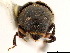  ( - CCDB-30440-A10)  @11 [ ] CreativeCommons - Attribution (2018) CBG Photography Group Smithsonian Institution