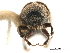  ( - CCDB-30440-B05)  @11 [ ] CreativeCommons - Attribution (2018) CBG Photography Group Smithsonian Institution