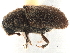  ( - CCDB-30440-B05)  @11 [ ] CreativeCommons - Attribution (2018) CBG Photography Group Smithsonian Institution