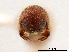 ( - CCDB-30440-B11)  @11 [ ] CreativeCommons - Attribution (2018) CBG Photography Group Smithsonian Institution