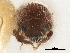  ( - CCDB-30440-B12)  @11 [ ] CreativeCommons - Attribution (2018) CBG Photography Group Smithsonian Institution