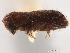  ( - CCDB-30440-B12)  @11 [ ] CreativeCommons - Attribution (2018) CBG Photography Group Smithsonian Institution