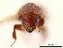  ( - CCDB-30440-E07)  @11 [ ] CreativeCommons - Attribution (2018) CBG Photography Group Smithsonian Institution