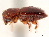  ( - CCDB-30440-E07)  @11 [ ] CreativeCommons - Attribution (2018) CBG Photography Group Smithsonian Institution