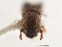  ( - CCDB-30440-E08)  @11 [ ] CreativeCommons - Attribution (2018) CBG Photography Group Smithsonian Institution