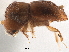  ( - CCDB-30440-E09)  @11 [ ] CreativeCommons - Attribution (2018) CBG Photography Group Smithsonian Institution