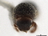  ( - CCDB-30440-E11)  @11 [ ] CreativeCommons - Attribution (2018) CBG Photography Group Smithsonian Institution