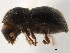  ( - CCDB-30440-E11)  @11 [ ] CreativeCommons - Attribution (2018) CBG Photography Group Smithsonian Institution