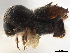  ( - CCDB-30440-F02)  @11 [ ] CreativeCommons - Attribution (2018) CBG Photography Group Smithsonian Institution