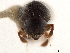  ( - CCDB-30440-F12)  @11 [ ] CreativeCommons - Attribution (2018) CBG Photography Group Smithsonian Institution