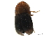  ( - CCDB-30440-G09)  @11 [ ] CreativeCommons - Attribution (2018) CBG Photography Group Smithsonian Institution