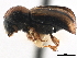  ( - CCDB-30440-H05)  @11 [ ] CreativeCommons - Attribution (2018) CBG Photography Group Smithsonian Institution