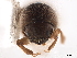  ( - CCDB-30440-H08)  @11 [ ] CreativeCommons - Attribution (2018) CBG Photography Group Smithsonian Institution