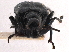  ( - CCDB-30442-A07)  @11 [ ] CreativeCommons - Attribution (2018) CBG Photography Group Smithsonian Institution