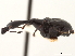  ( - CCDB-30442-A08)  @11 [ ] CreativeCommons - Attribution (2018) CBG Photography Group Smithsonian Institution