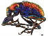  ( - CCDB-30442-A11)  @11 [ ] CreativeCommons - Attribution (2018) CBG Photography Group Smithsonian Institution
