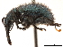  ( - CCDB-30442-C10)  @11 [ ] CreativeCommons - Attribution (2018) CBG Photography Group Smithsonian Institution
