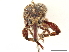 ( - CCDB-30442-E01)  @11 [ ] CreativeCommons - Attribution (2018) CBG Photography Group Smithsonian Institution