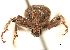  ( - CCDB-30444-F12)  @11 [ ] CreativeCommons - Attribution (2018) CBG Photography Group Smithsonian Institution