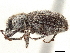  ( - CCDB-30446-A07)  @11 [ ] CreativeCommons - Attribution (2018) CBG Photography Group Smithsonian Institution