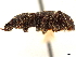  ( - CCDB-30446-A08)  @11 [ ] CreativeCommons - Attribution (2018) CBG Photography Group Smithsonian Institution