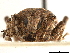  ( - CCDB-30446-C05)  @11 [ ] CreativeCommons - Attribution (2018) CBG Photography Group Smithsonian Institution
