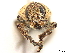  ( - CCDB-30446-D10)  @11 [ ] CreativeCommons - Attribution (2018) CBG Photography Group Smithsonian Institution