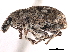  ( - CCDB-30446-D12)  @11 [ ] CreativeCommons - Attribution (2018) CBG Photography Group Smithsonian Institution