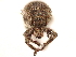  (Sapotes sordidus - CCDB-30446-E05)  @11 [ ] CreativeCommons - Attribution (2018) CBG Photography Group Smithsonian Institution