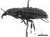  ( - CCDB-30447-B07)  @11 [ ] CreativeCommons - Attribution (2018) CBG Photography Group Smithsonian Institution