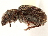  ( - CCDB-30449-A01)  @11 [ ] CreativeCommons - Attribution (2018) CBG Photography Group Smithsonian Institution