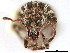  ( - CCDB-30449-A02)  @11 [ ] CreativeCommons - Attribution (2018) CBG Photography Group Smithsonian Institution