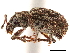  ( - CCDB-30449-A02)  @11 [ ] CreativeCommons - Attribution (2018) CBG Photography Group Smithsonian Institution