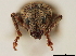  ( - CCDB-30449-C12)  @11 [ ] CreativeCommons - Attribution (2018) CBG Photography Group Smithsonian Institution