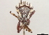  ( - CCDB-30449-D07)  @11 [ ] CreativeCommons - Attribution (2018) CBG Photography Group Smithsonian Institution