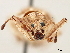  ( - CCDB-30449-D09)  @11 [ ] CreativeCommons - Attribution (2018) CBG Photography Group Smithsonian Institution