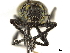  ( - CCDB-30449-E01)  @11 [ ] CreativeCommons - Attribution (2018) CBG Photography Group Smithsonian Institution