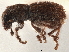  ( - CCDB-30449-H06)  @11 [ ] CreativeCommons - Attribution (2019) CBG Photography Group Smithsonian Institution
