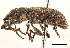  ( - CCDB-30451-A10)  @11 [ ] CreativeCommons - Attribution (2019) CBG Photography Group Smithsonian Institution