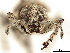  ( - CCDB-30451-B05)  @11 [ ] CreativeCommons - Attribution (2019) CBG Photography Group Smithsonian Institution