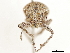 ( - CCDB-30451-D04)  @11 [ ] CreativeCommons - Attribution (2018) CBG Photography Group Smithsonian Institution