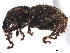  ( - CCDB-30451-E01)  @11 [ ] CreativeCommons - Attribution (2018) CBG Photography Group Smithsonian Institution